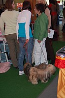 DSC_3254.jpg DSC_3254.jpg
