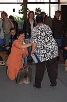 DSC_3258.jpg DSC_3258.jpg