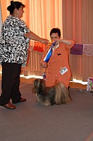 DSC_3262.jpg DSC_3262.jpg
