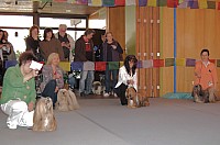 DSC_3265.jpg DSC_3265.jpg