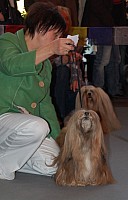 DSC_3266.jpg DSC_3266.jpg