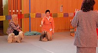 DSC_3279.jpg DSC_3279.jpg