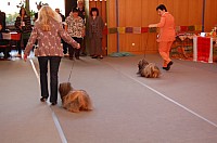 DSC_3292.jpg DSC_3292.jpg