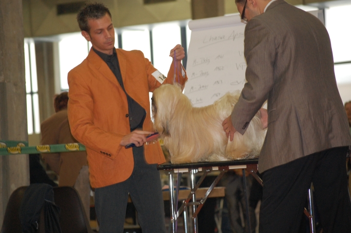 DSC_0550.jpg