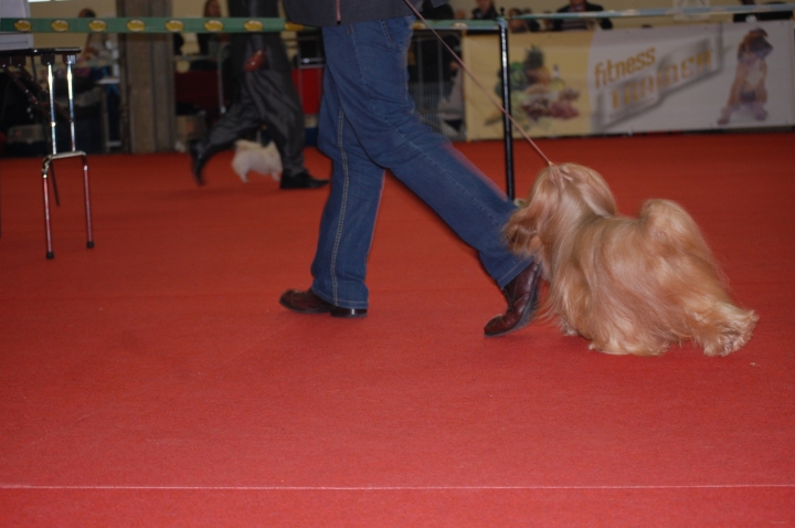 DSC_0614.jpg
