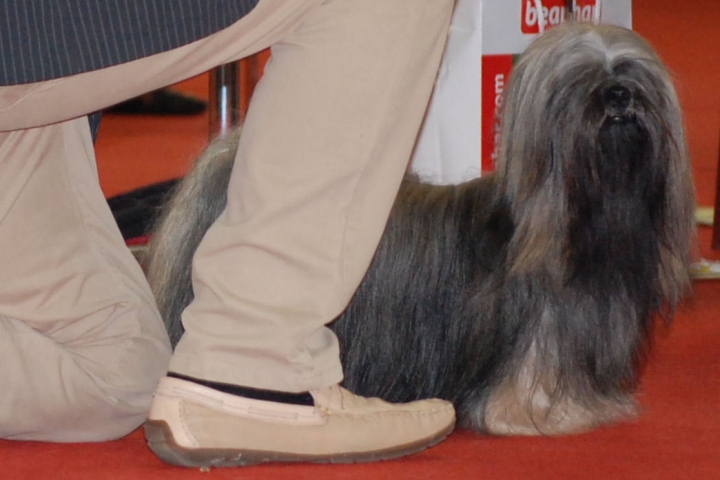 DSC_0673.jpg