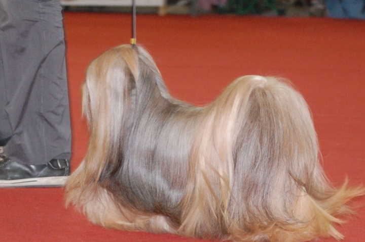 DSC_0680.jpg