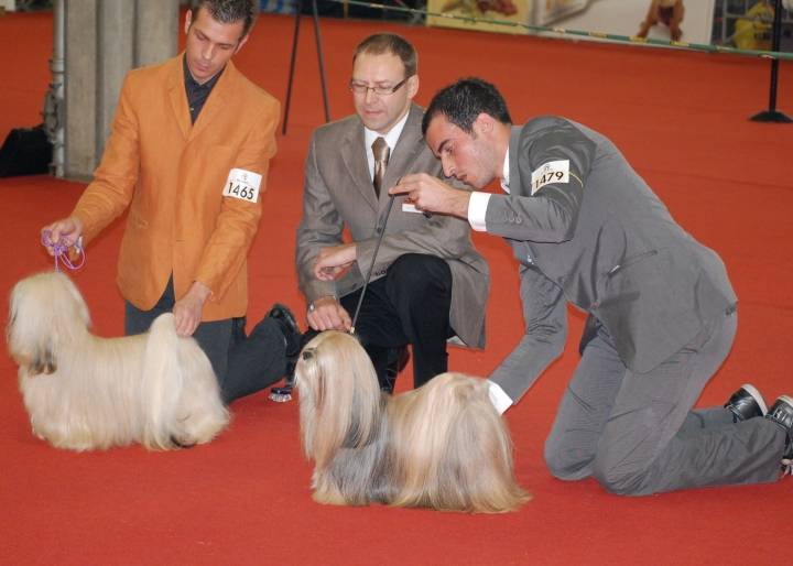 DSC_0734.jpg
