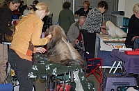 DSC_0484.jpg