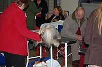 DSC_0485.jpg