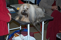 DSC_0487.jpg