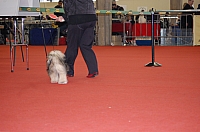 DSC_0521.jpg