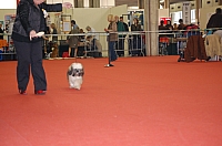 DSC_0526.jpg