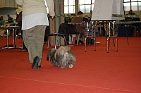 DSC_0531.jpg