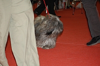 DSC_0534.jpg