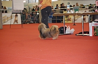 DSC_0538.jpg