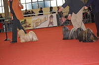 DSC_0547.jpg