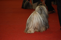 DSC_0548.jpg