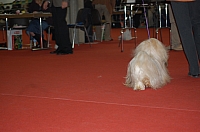 DSC_0553.jpg