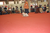 DSC_0554.jpg