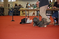 DSC_0559.jpg