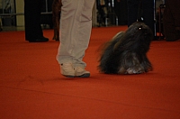 DSC_0560.jpg