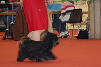 DSC_0592.jpg