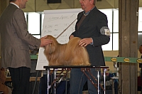 DSC_0603.jpg