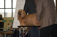 DSC_0604.jpg