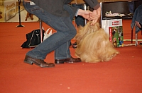 DSC_0607.jpg