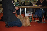 DSC_0609.jpg