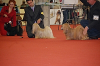 DSC_0612.jpg