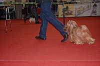DSC_0614.jpg