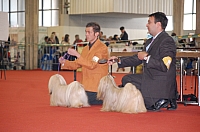 DSC_0618.jpg