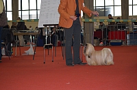 DSC_0621.jpg