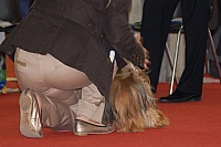 DSC_0628.jpg