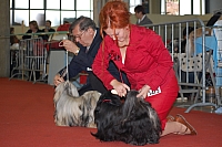 DSC_0631.jpg