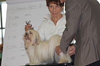 DSC_0632.jpg