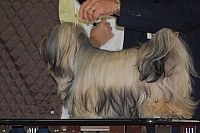DSC_0634.jpg