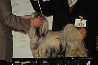 DSC_0638.jpg