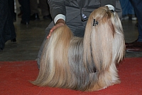 DSC_0643.jpg