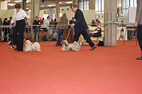 DSC_0655.jpg