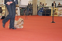 DSC_0668.jpg