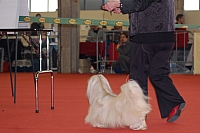 DSC_0679.jpg