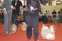 DSC_0684.jpg