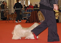 DSC_0692.jpg