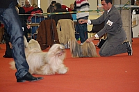 DSC_0707.jpg