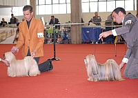 DSC_0727.jpg