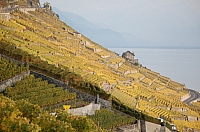 DSC_0769.jpg