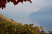 DSC_0774.jpg